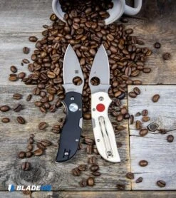 Spyderco Chaparral Lockback Knife Sun & Moon G-10 (2.8" Satin) C152GSMP -Spyderco Sales Store Spyderco Chaparral Lockback Knife Sun Moon G 10 Satin C152GSMP BHQ 106186 kp beans web