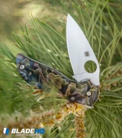 Spyderco Chaparral Folding Knife Raffir Noble Brass/Acrylic (2.8" Satin) C152RNP -Spyderco Sales Store Spyderco Chaparral Raffir Noble Brass Acrylic C152RNP BHQ 50826 jr lifestyle