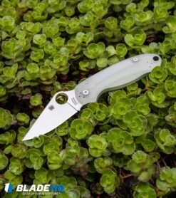 Spyderco M4 Para 3 Knife Natural G-10 (3" Satin) C223GM4P Exclusive -Spyderco Sales Store Spyderco M4 Para 3 Knife Natural G 10 Satin C223GM4P Exclusive BHQ71564 kp green plant web