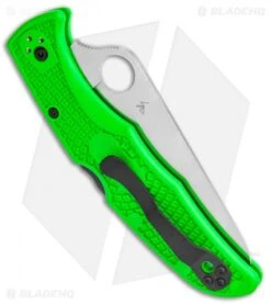 Spyderco Pacific Salt 2 Lockback Knife Green FRN (3.4" Satin Serr LC200N) -Spyderco Sales Store Spyderco Pacific Salt 2 LB Green FRN Satin Serr C91FSGR2 BHQ 116275 jr side