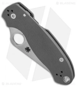 Spyderco Para 3 Knife Dark Gray G-10 (3" Stonewash Maxamet) C223GPDGY -Spyderco Sales Store Spyderco Para 3 Dark Gray G10 SW Maxamet BHQ 71267 er spine