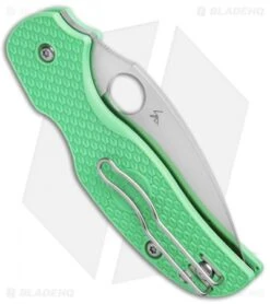 Spyderco Sage 5 Lightweight Compression Lock Knife Mint FRN (3" Satin M4) BHQ -Spyderco Sales Store Spyderco Sage 5 Lightweight Compression Lock Mint FRN Satin C123PGRM4 BHQ 137711 jr side