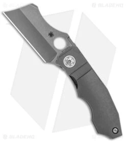 Spyderco Stovepipe Frame Lock Knife Titanium (2.8" Stonewash) C260TIP