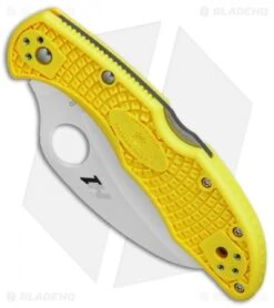 Spyderco Tasman Salt 2 Lock Back Knife Yellow (2.8" Satin Full Ser) C106SYL2 -Spyderco Sales Store Spyderco Tasman Salt 2 yellow satin full serr BHQ 71336 er spine 3